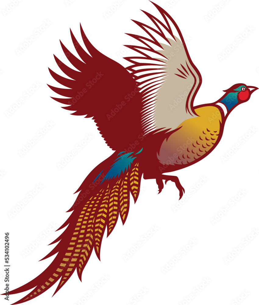 Obraz premium Illustration of Ringneck Pheasant Flying