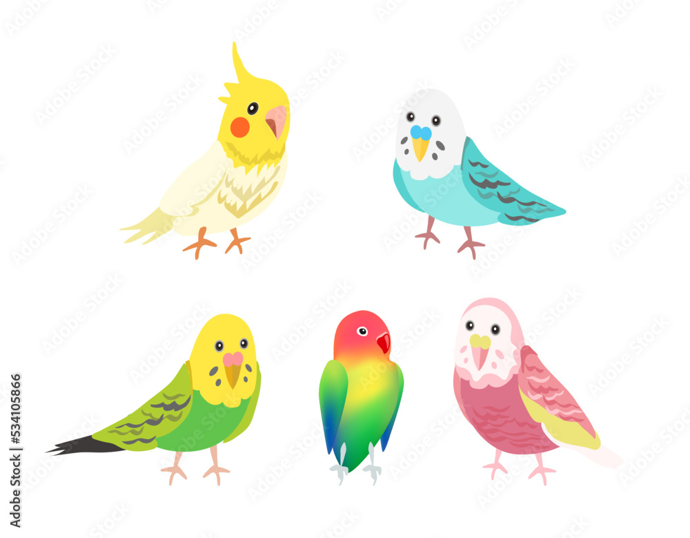 set with cute cartoon parrots illustrations