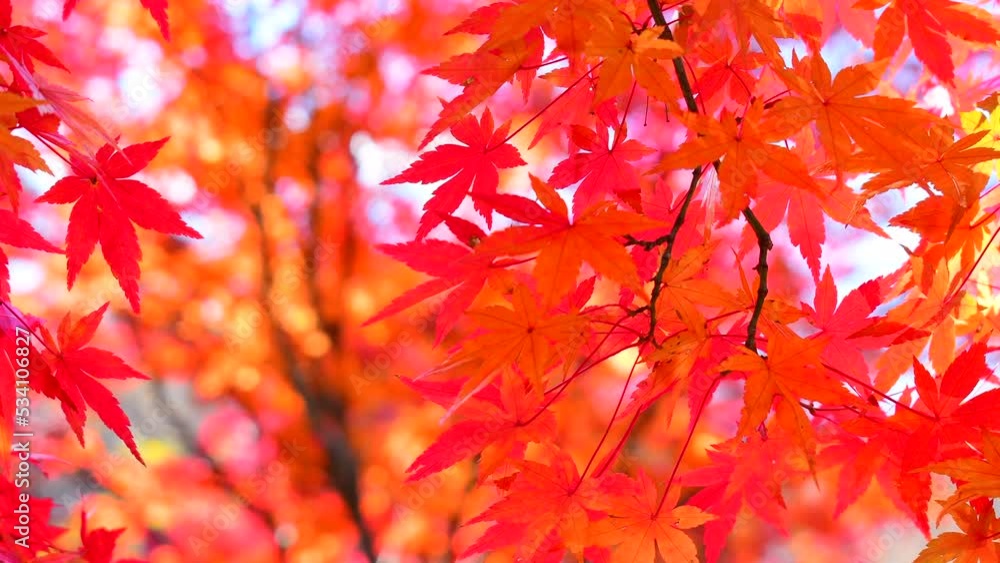 名称未設定プロジェクト