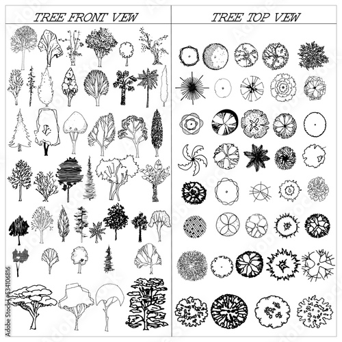 Tree-Front-and-Top-View-Drawing-Sketch-Set