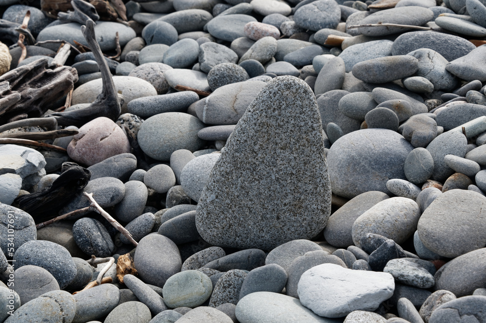 A larger rock is standing upright amongst other rocks on a stony foreshore A larger rock is standing upright amongst other rocks on a stony foreshore