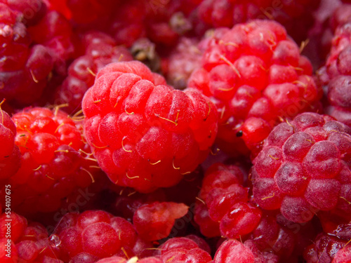 Raspberry berry background in close-up