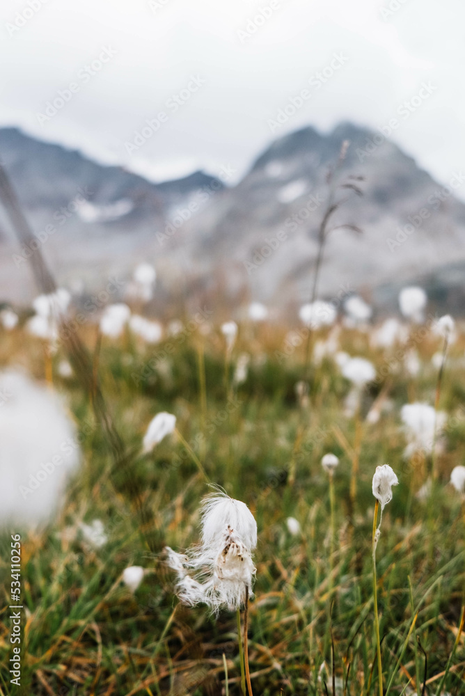 Berglandschaft in den Alpen