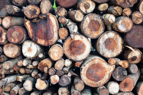 Fototapeta Naklejka Na Ścianę i Meble -  stack of firewood