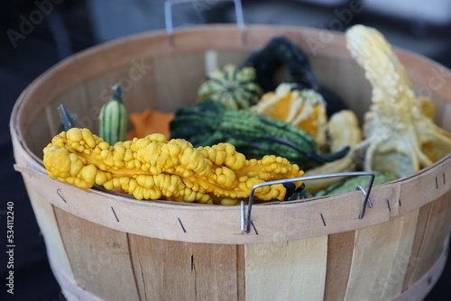 basket of gourds