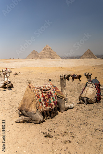 Egypt. In love with this rich country with so many beauty and historical places.