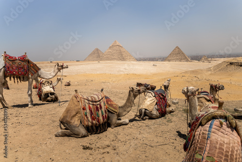 Egypt. In love with this rich country with so many beauty and historical places. © Mariana