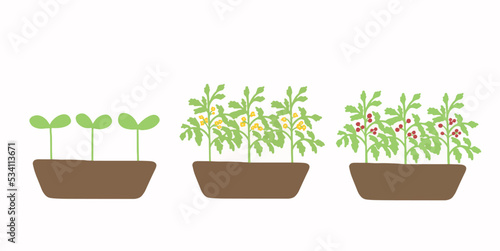 Spring Set of potted Plants, flower seedlings, Flat vector illustration