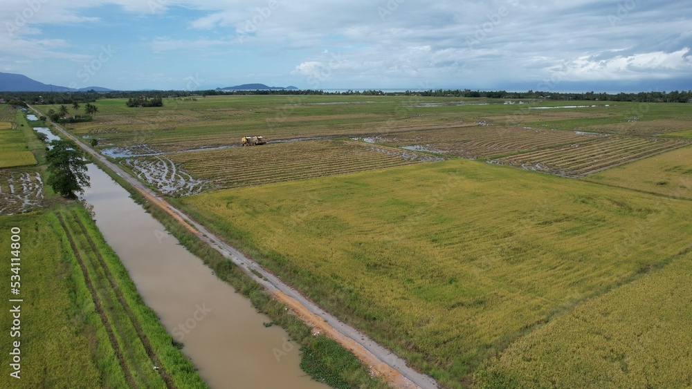 Tractors Ploughing The Paddy Rice Fields in Kedah, Malaysia