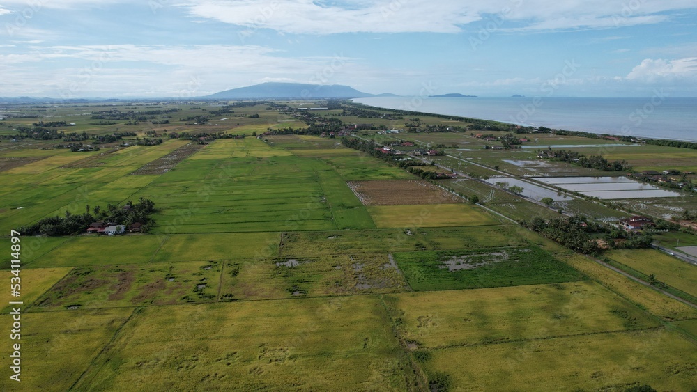Tractors Ploughing The Paddy Rice Fields in Kedah, Malaysia