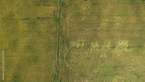 Tractors Ploughing The Paddy Rice Fields in Kedah, Malaysia