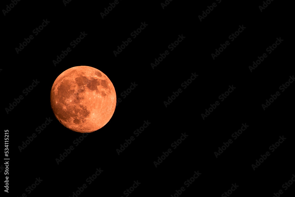 Obraz premium お月様