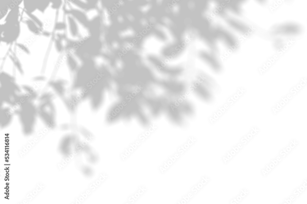 Obraz premium Shadow Overlay