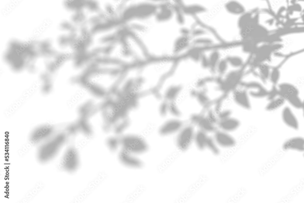 Fototapeta premium Shadow Overlay