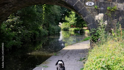 Video of a English canal with footpath, towpath, looking through a stone built bridge, with a dog running into the scene holding a ball. photo