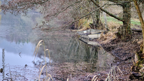 Fototapeta Naklejka Na Ścianę i Meble -  Grandes branches et la vieille barque sur le rivage de l'étang