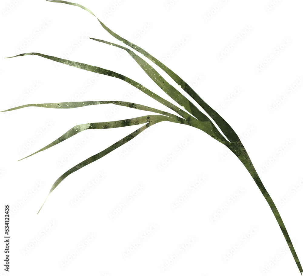 Fototapeta premium Tropical Exotic Floral Green Leaf Pastel Watercolor Jungle Transparent Background