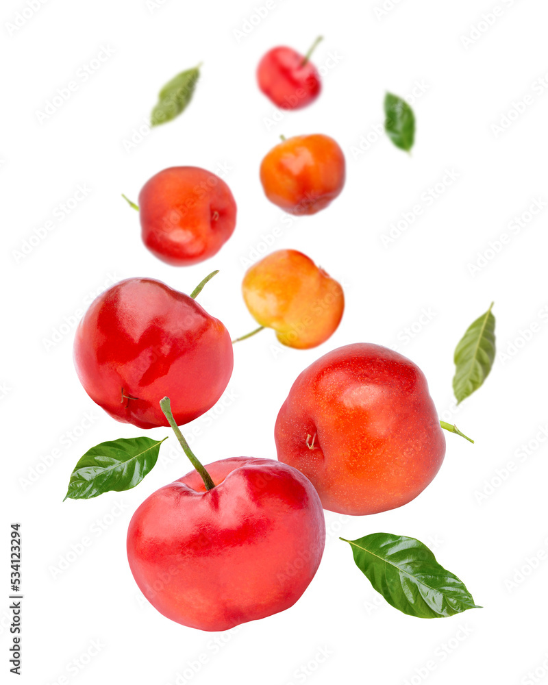 Obraz premium Acerola cherry with green leaf falling isolated on white background.