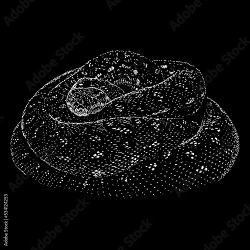 Diamond python hand drawing. Vector illustration isolated on black background