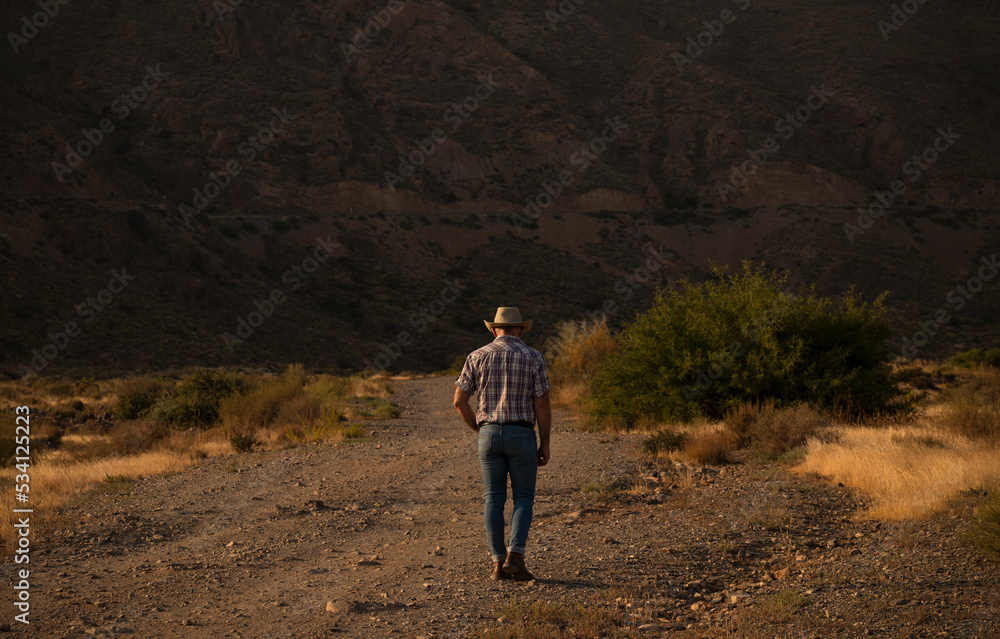 Rear view of adult man in cowboy hat in desert. Almeria, Spain
