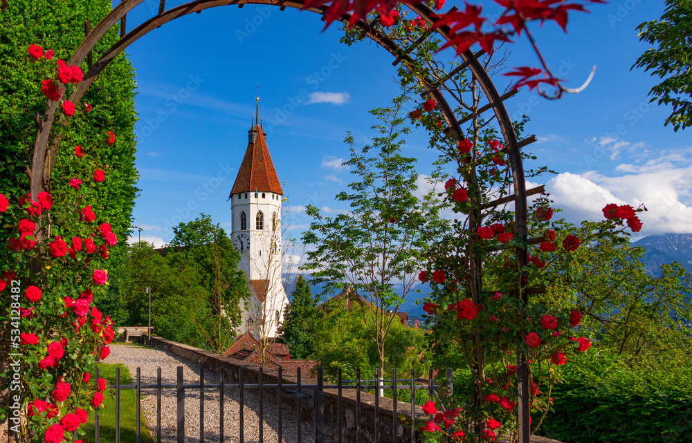 A view of the central church of Thun through an arched rose hedge