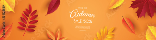 Autumn background with leaves. Vector illustration template.