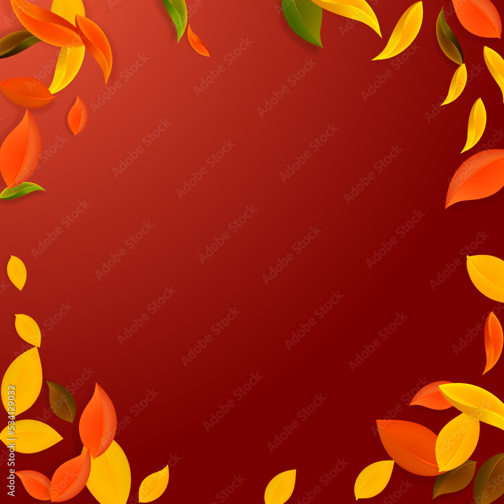 Falling autumn leaves. Red, yellow, green, brown c Falling autumn leaves. Red, yellow, green, brown c