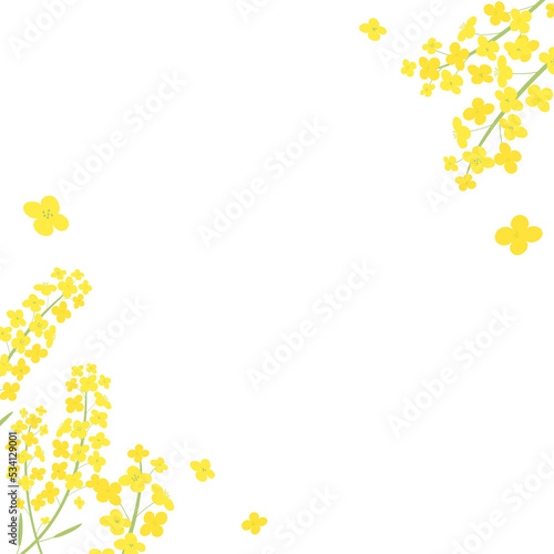 canola flowers frame illustration