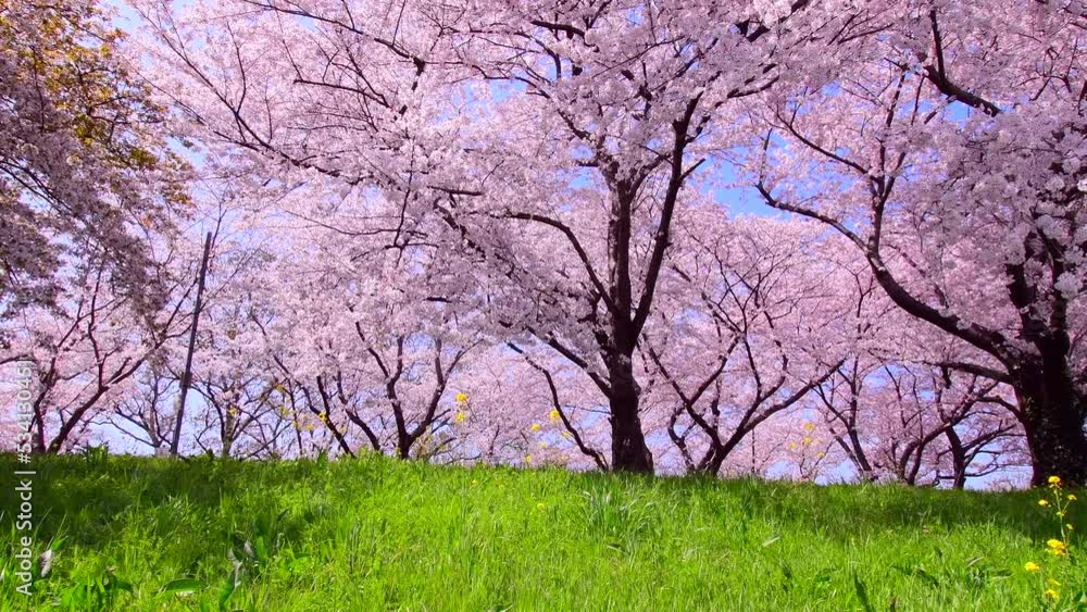 名称未設定プロジェクト