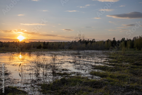 Wetland area. evening landscape  sunset over the swamp. Early spring.