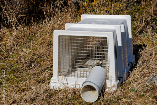 Canvas Print Predator free New Zealand, rat, stoat or mustelid trap in a plastic box