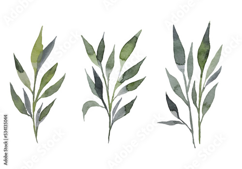 Set of watercolor design elements, branches, leaves, grass, branches drawn in watercolor, botanical illustration, isolated on transparent background, in format PNG 
