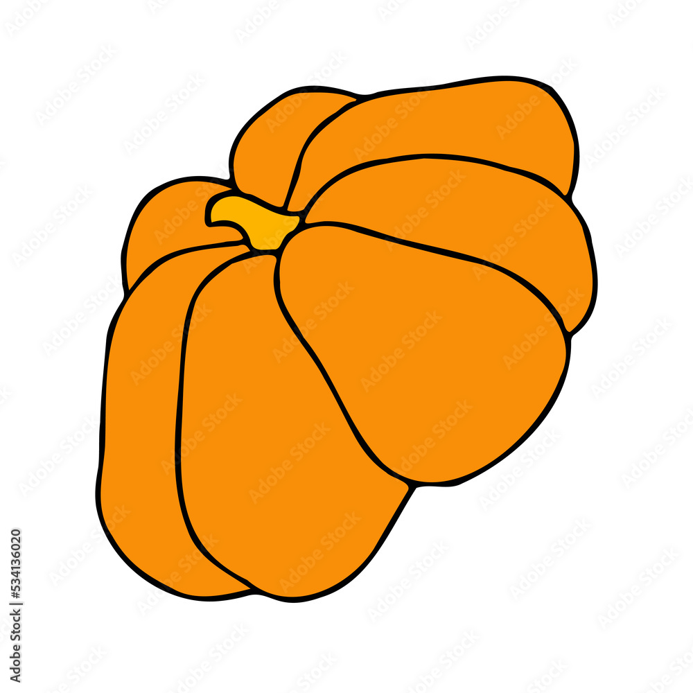 Cute autumn vector illustration, hand drawn pumpkins