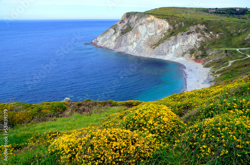 Azkorri beach and genista f...