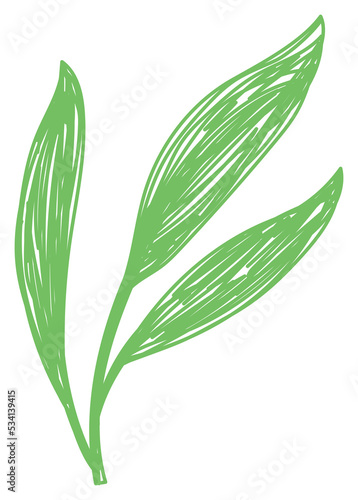 Leaf sketch. Hand drawn illustration. Pen or marker plant
