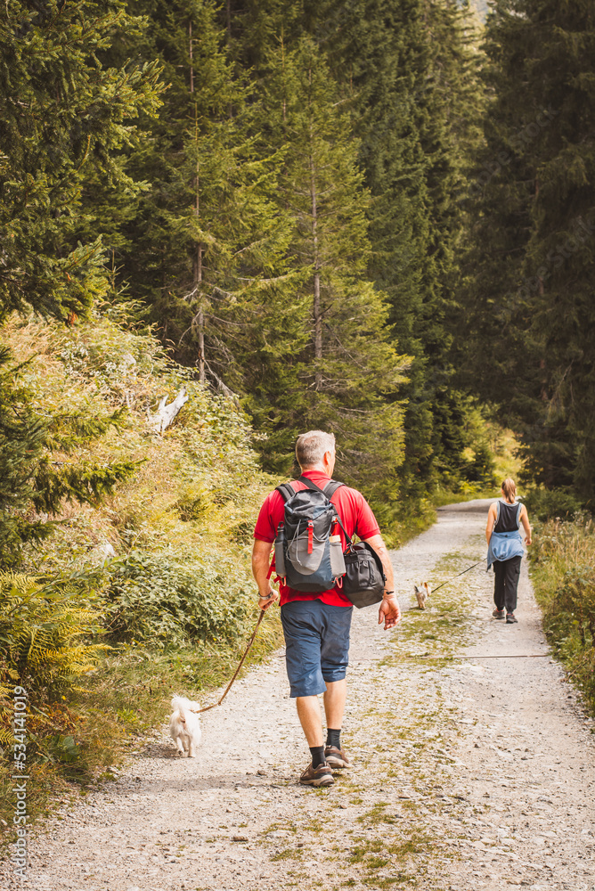 Obraz premium Wandern