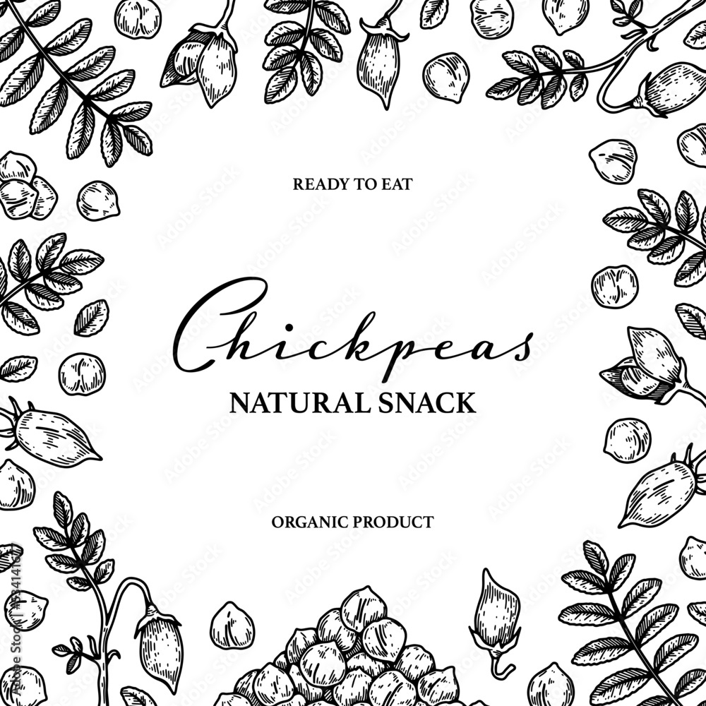 Hand drawn chickpeas botany background. Vector illustration in sketch ...