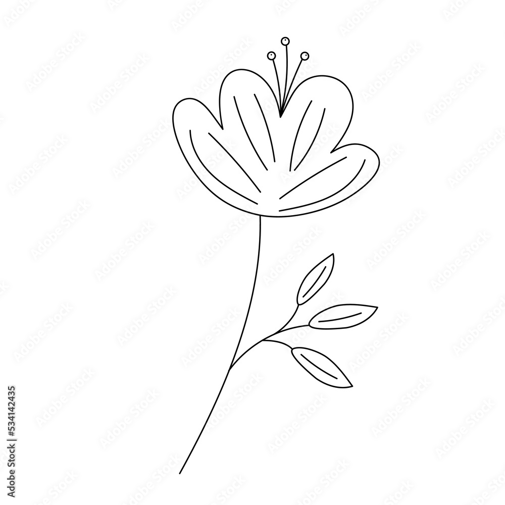 Hand drawn flower in line art doodle style. Botanical decorative element.