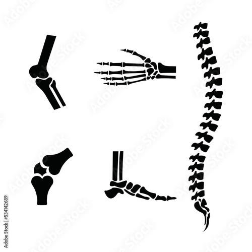 human bone set vector illustration design