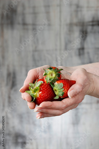 Obraz na płótnie Fresh ripe strawberries in beautiful hands w salonie