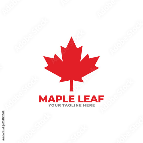 Maple leaf logo design vector