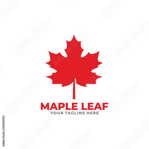 Maple leaf logo design vector