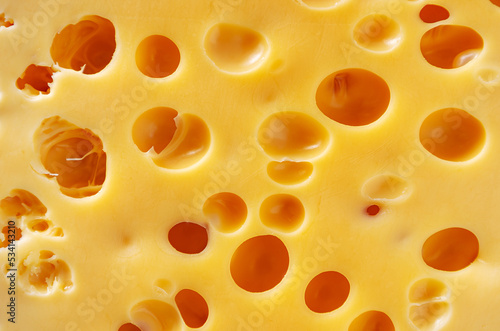 Texture of the yellow cheese with large holes.  Food background.
