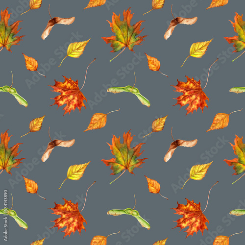 Watercolor seamless pattern with colorful autumn leaves and seeds.