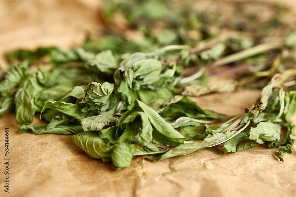 Mint sprigs are dried on paper until completely dry. Drying and storage of plants. Mint sprigs are dried on paper until completely dry. Drying and storage of plants.