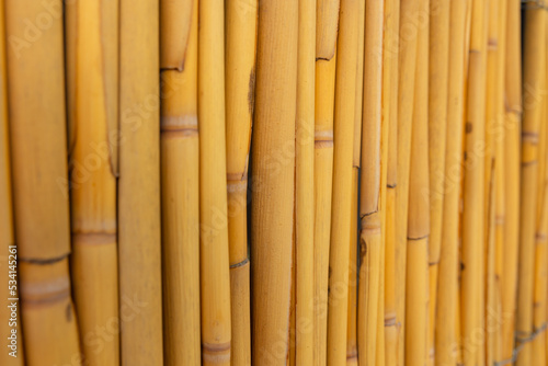Bamboo fence background. Bamboo background photo. Selective focus