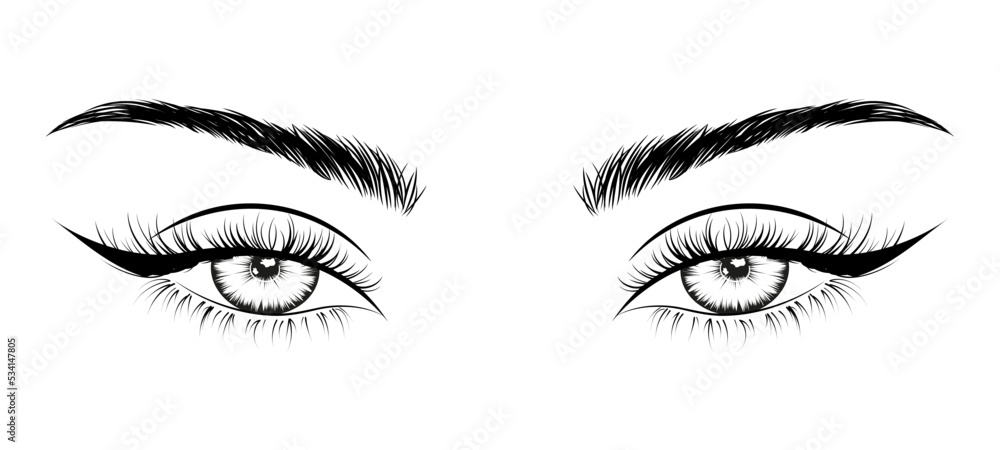 Woman's sexy makeup look with perfectly shaped eyebrows and lashes. Vector illustration for business visit card, typograph, print. Perfect salon look. Brows and lashes lamination logo, social media.