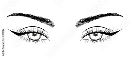 Woman's sexy makeup look with perfectly shaped eyebrows and lashes. Vector illustration for business visit card, typograph, print. Perfect salon look. Brows and lashes lamination logo, social media.