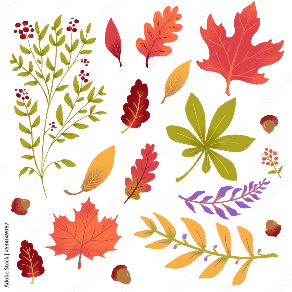 Fototapeta premium Set of colorful autumn leaves pattern