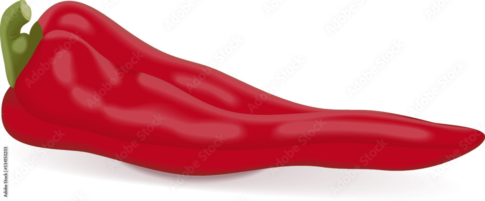Fototapeta premium Sweet Italian chili peppers. Friggitelli. Tuscan peppers. Pepperoncini peppers. Fresh organic and healthy, vegetarian vegetables. Vector illustration isolated on white background.